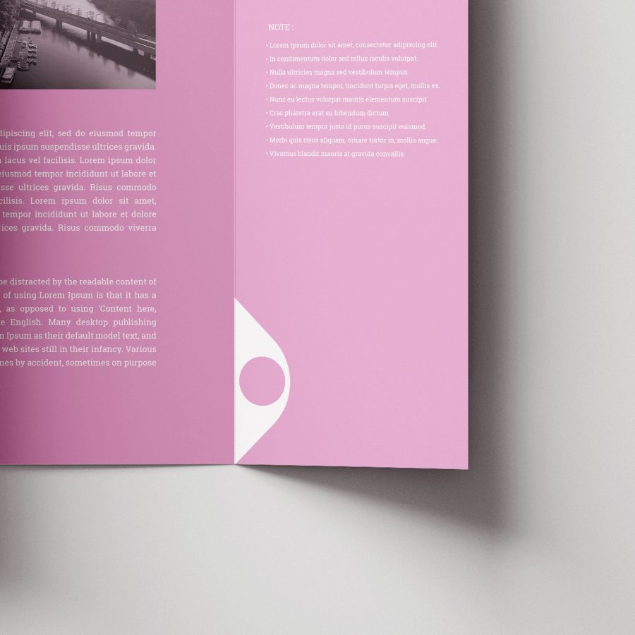 Brochure---Gate-Fold-(Close-up)-3